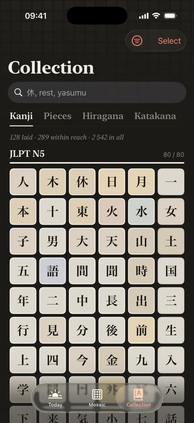 Collection of kanji, pieces, hiragana and katakana, grouped by JLPT level